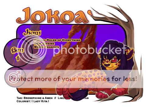 User Image